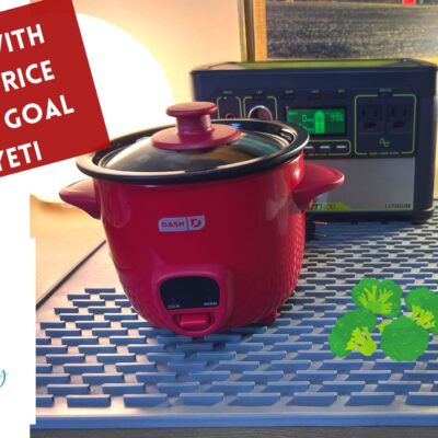 Dash Mini Rice Cooker for Camping