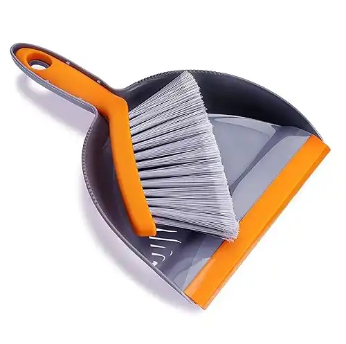 Mini Dustpan and Brush Set