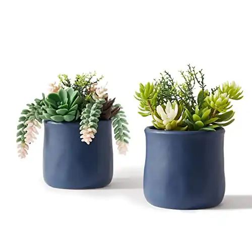 ASTRIDIA Artificial Succulent in Ceramic Pots