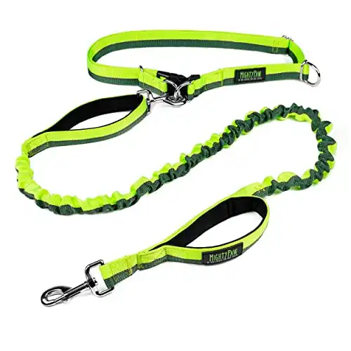 Mighty Paw Hands Free Dog Leash