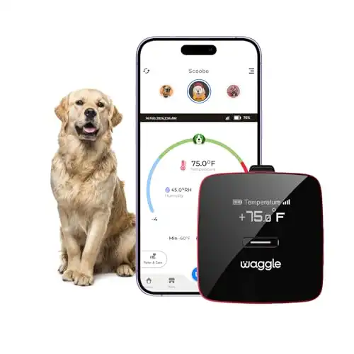 Waggle RV/Pet Safety Temperature Monitor - PRO (GPS)