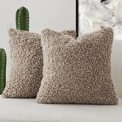 Foindtower 2 Pieces Teddy Faux Fur Throw Pillow Cover